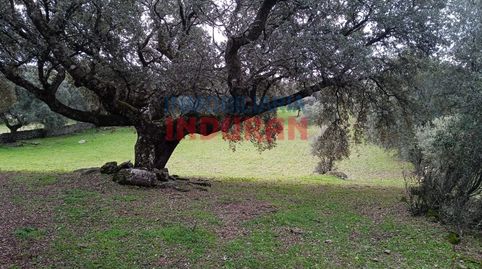 Finca rústica dehesa en Parrillas Toledo con vivienda, piscina y vistas a Gredos  A 90 min de MadridFinca rústica en venta en Parr, immagine 3