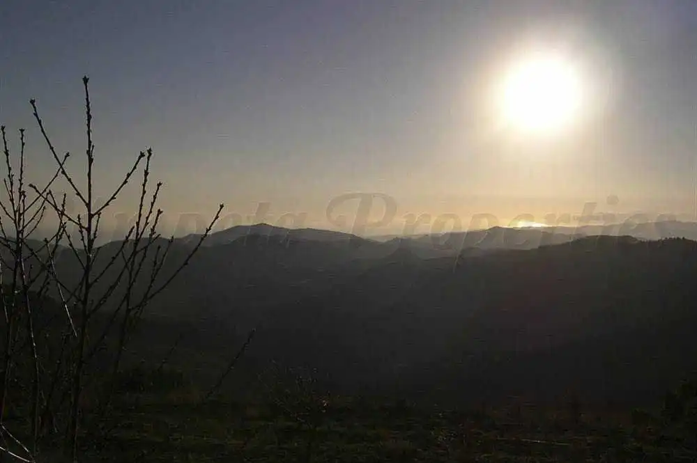 Terreny rústic en venda a Canillas de Albaida, imagen 9