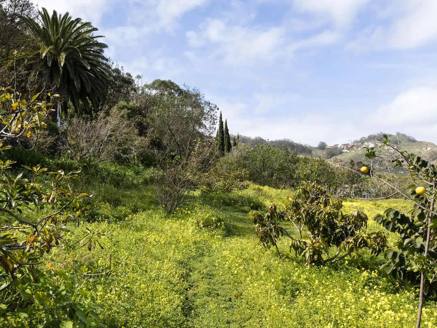 Finca rústica en venta en Tegueste con Jardín privado, Terraza y Horno