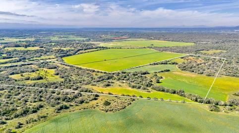 Photo 2 of Residential for sale in 01900100ed-05 Son Danus Nou. Santanyi (illes Bale, Santanyí Poble, Santanyí