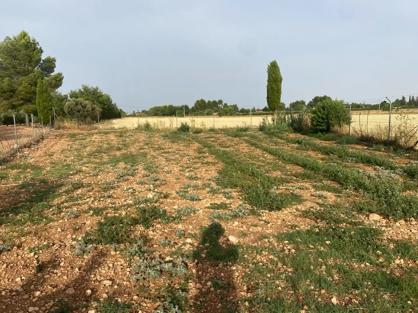 Casa o chalet en venta en Ciudad Real con Aire acondicionado, Calefacción y Jardín privado