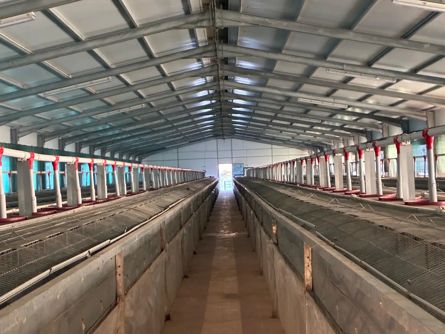Nave industrial in vendita a Villar del Arzobispo, imagen 36