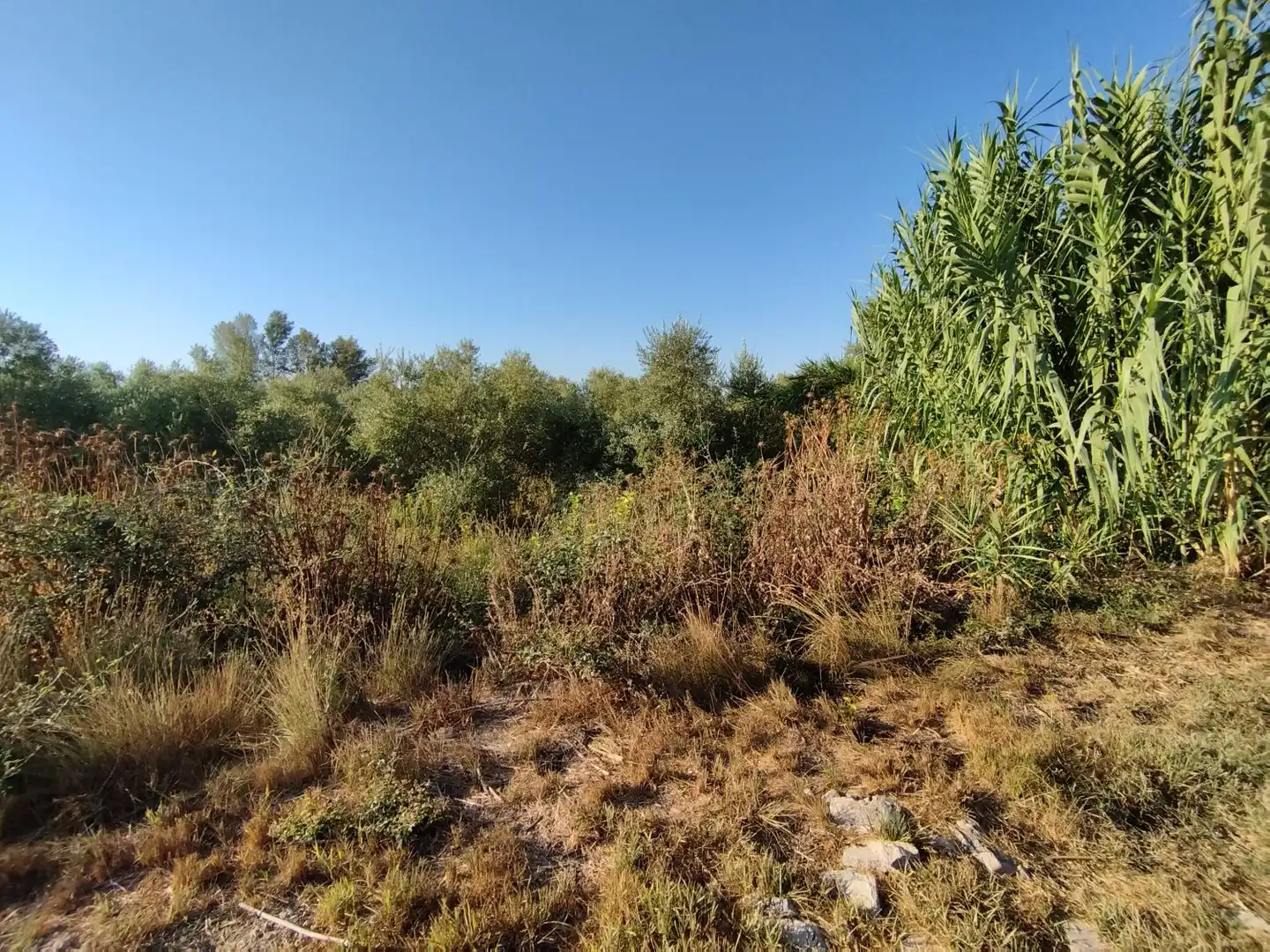 Casa rústica en venda a Puigverd de lleida