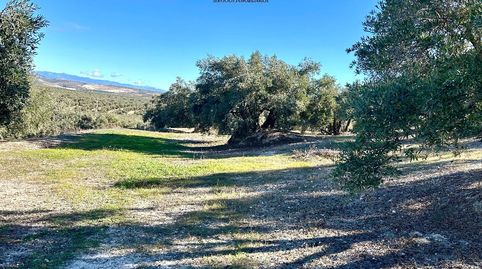 Terreno en venta en Cortijo Calancha, Jódar., immagine 3