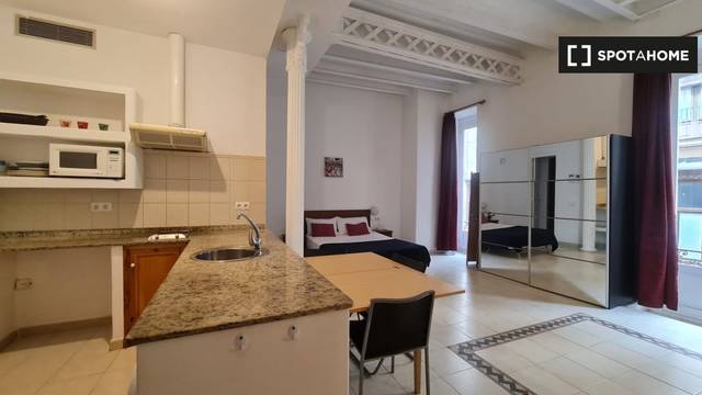 Piso en Alquiler en El Raval
