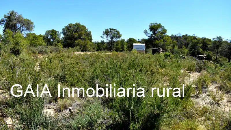 Finca rústica en venda en Batea