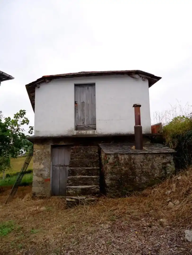 Vista exterior de Finca rústica en venda en Villayón