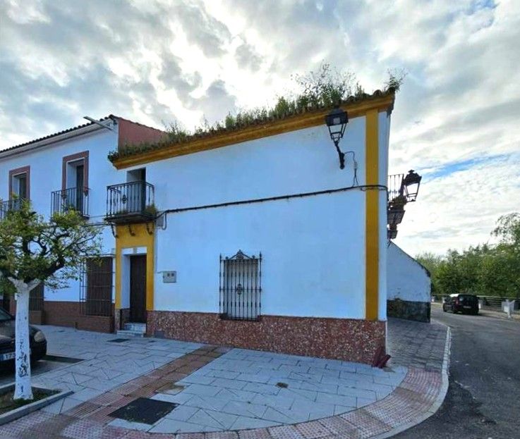 Exterior view of House or chalet for sale in Alcolea del Río  with Heating and Private garden