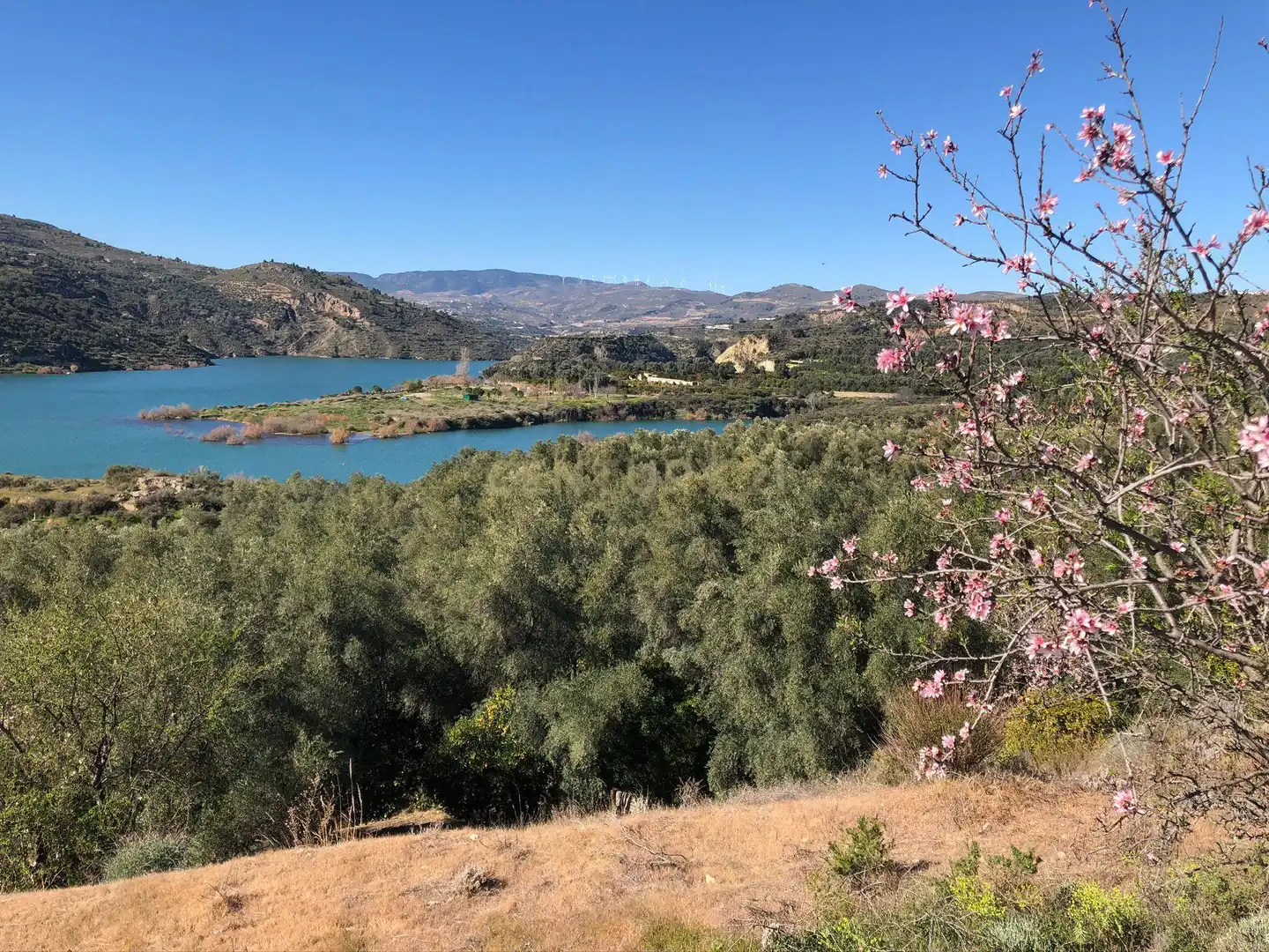 Terreno en venta en Lecrín