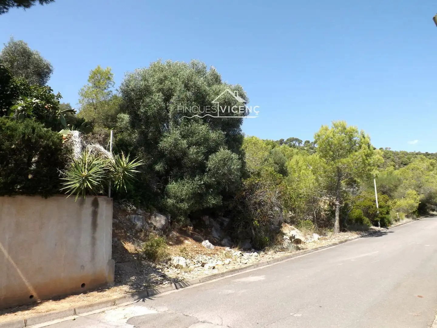 Terreno rustico in vendita a BOI, imagen 4