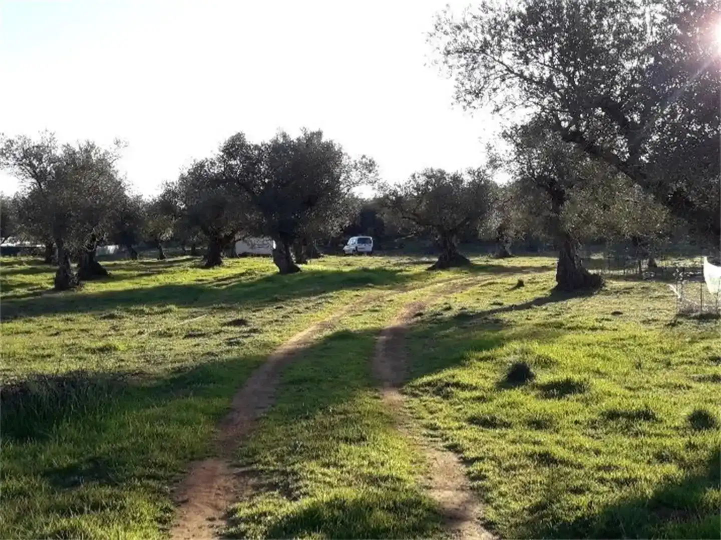 Finca rústica en venda en Higuera la Real