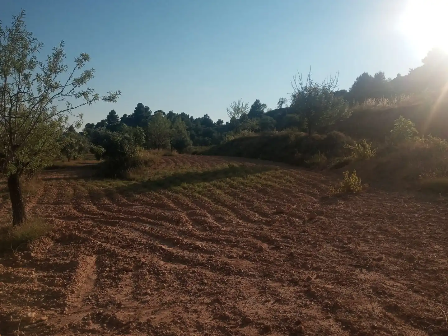 Terreni e lotti in vendita a Monroyo, imagen 5