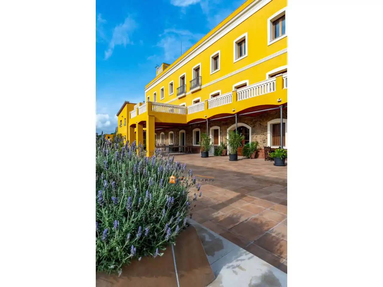 Country homes for rent in Les Grases