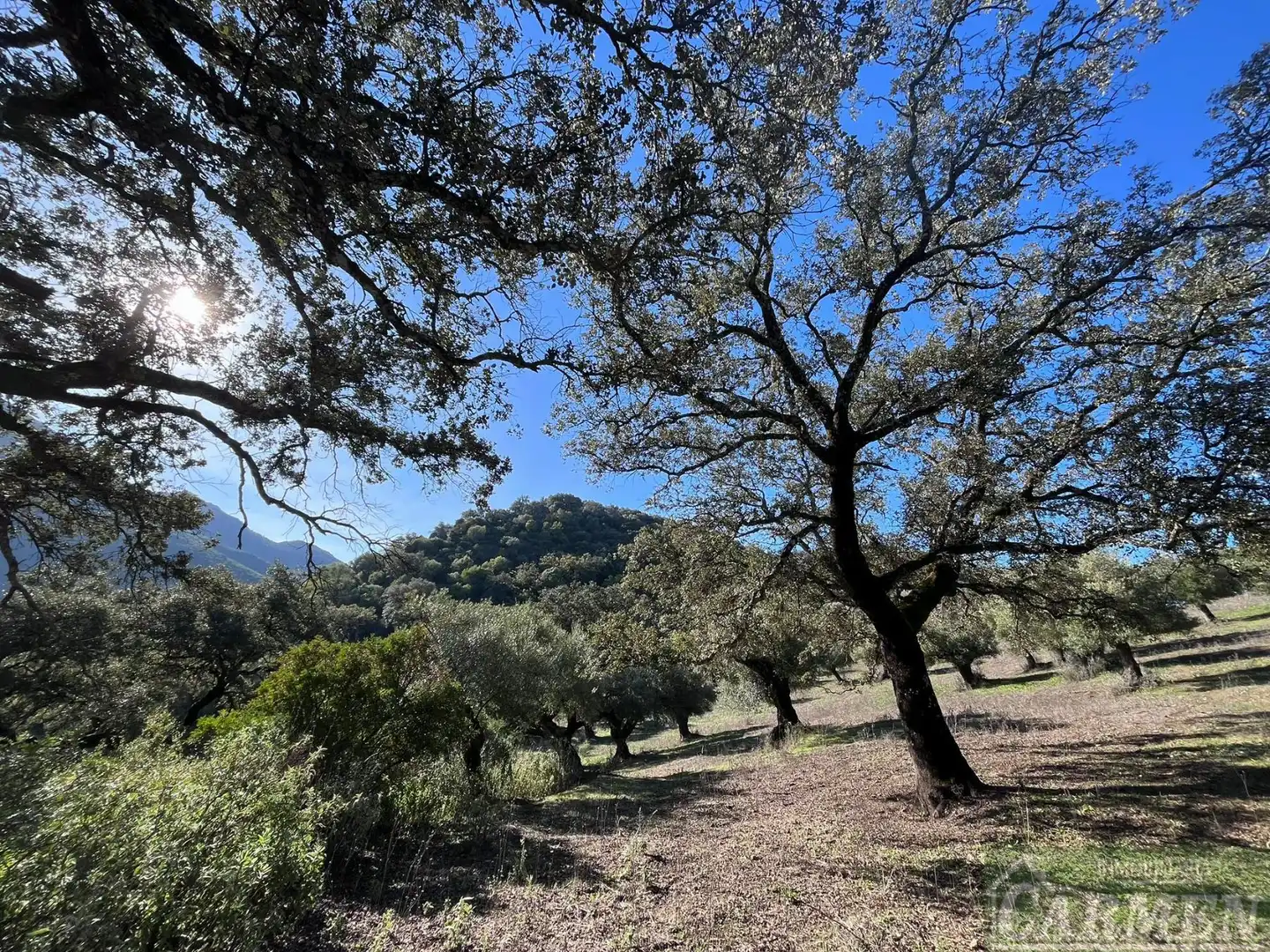 Finca rústica en venda en El Bosque