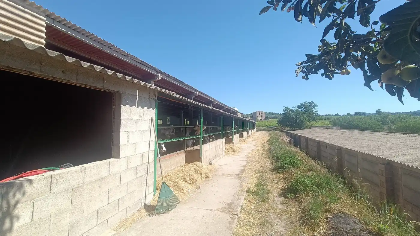 Vista exterior de Nau industrial en venda en Marçà