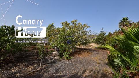 Foto 5 de Finca rústica en venda a Aldea Blanca - Las Zocas, Santa Cruz de Tenerife