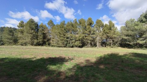 Finca rústica en Lledó, immagine 4