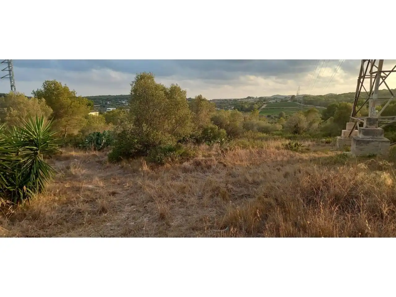 Rural land for sale in Poligono 41, imagen 4