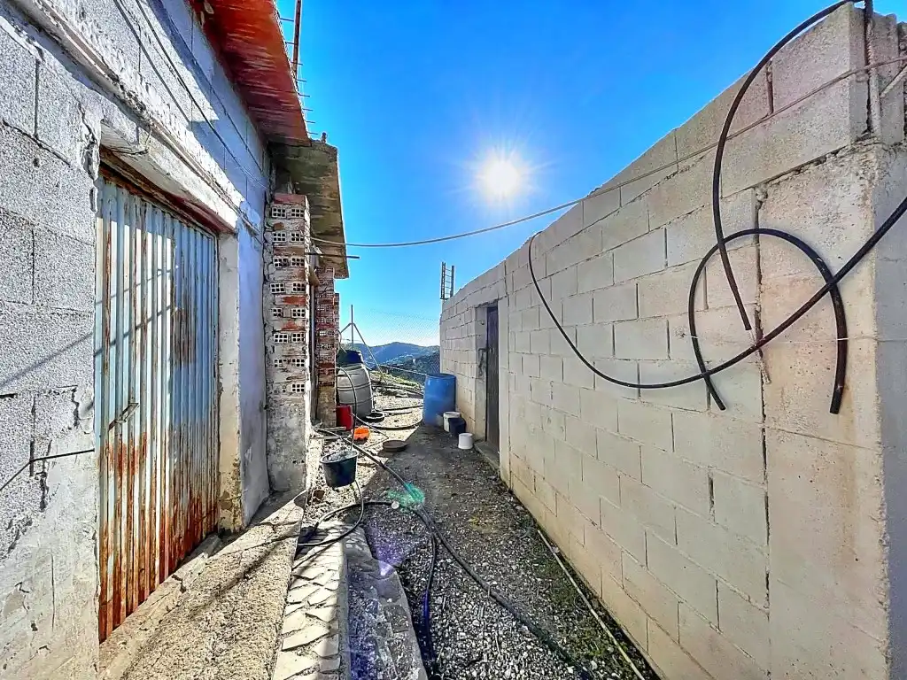 Vista exterior de Finca rústica en venta en Macharaviaya con Jardín privado, Terraza y Amueblado