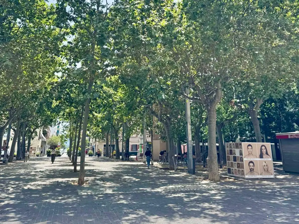 Vista exterior de Casa o xalet en venda en Granollers amb Calefacció, Jardí privat i Terrassa
