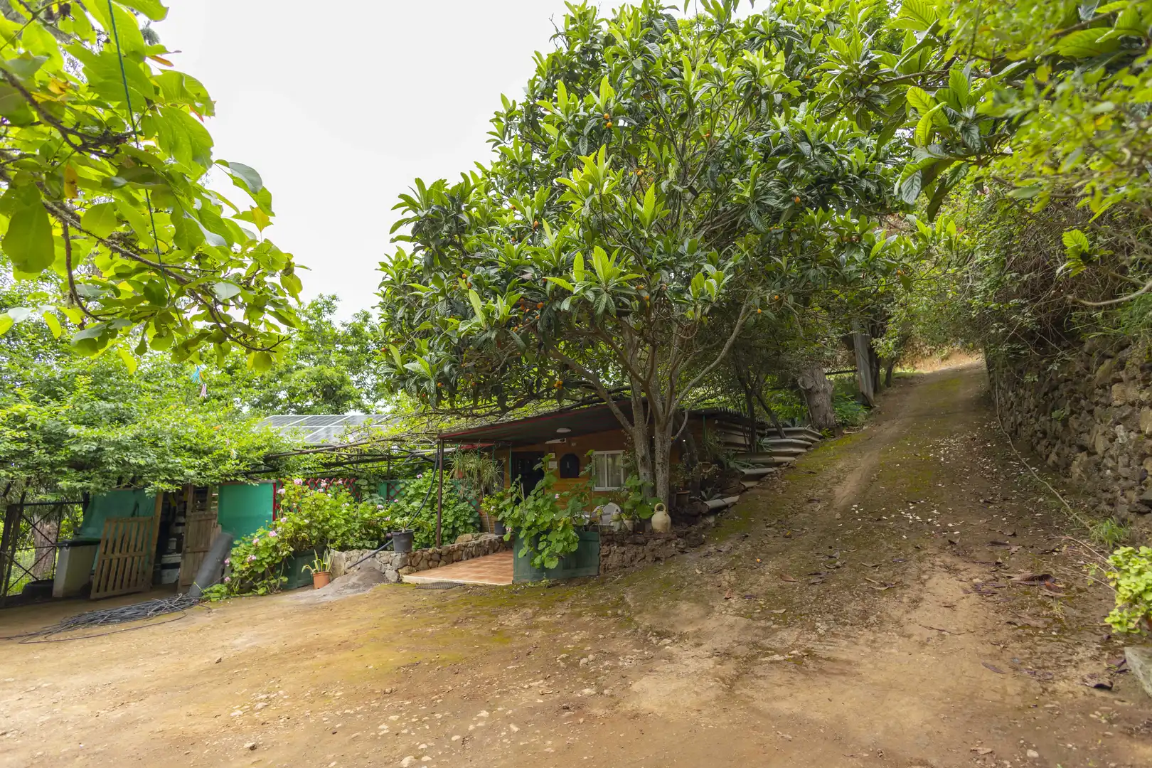 Vista exterior de Finca rústica en venta en San Juan de la Rambla con Aire acondicionado, Calefacción y Jardín privado