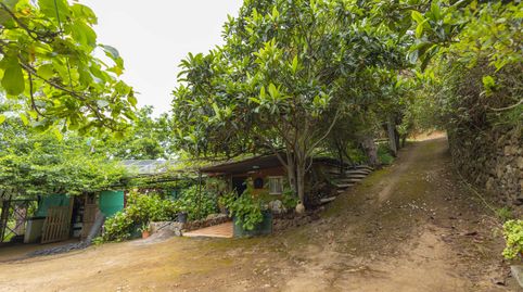 Foto 3 de Finca rústica en venta en Lomo Blanco, 22, San Juan de la Rambla, Santa Cruz de Tenerife