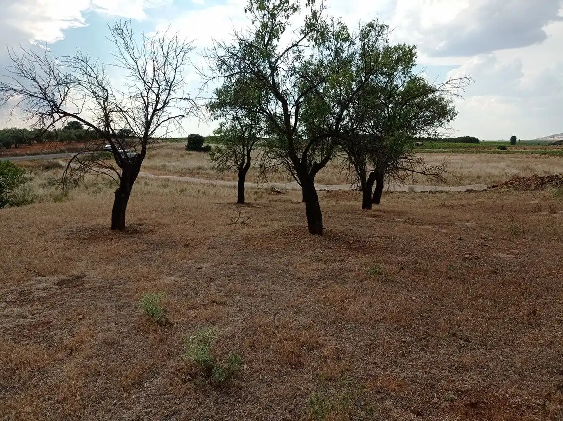 Finca rústica en venda en Cózar