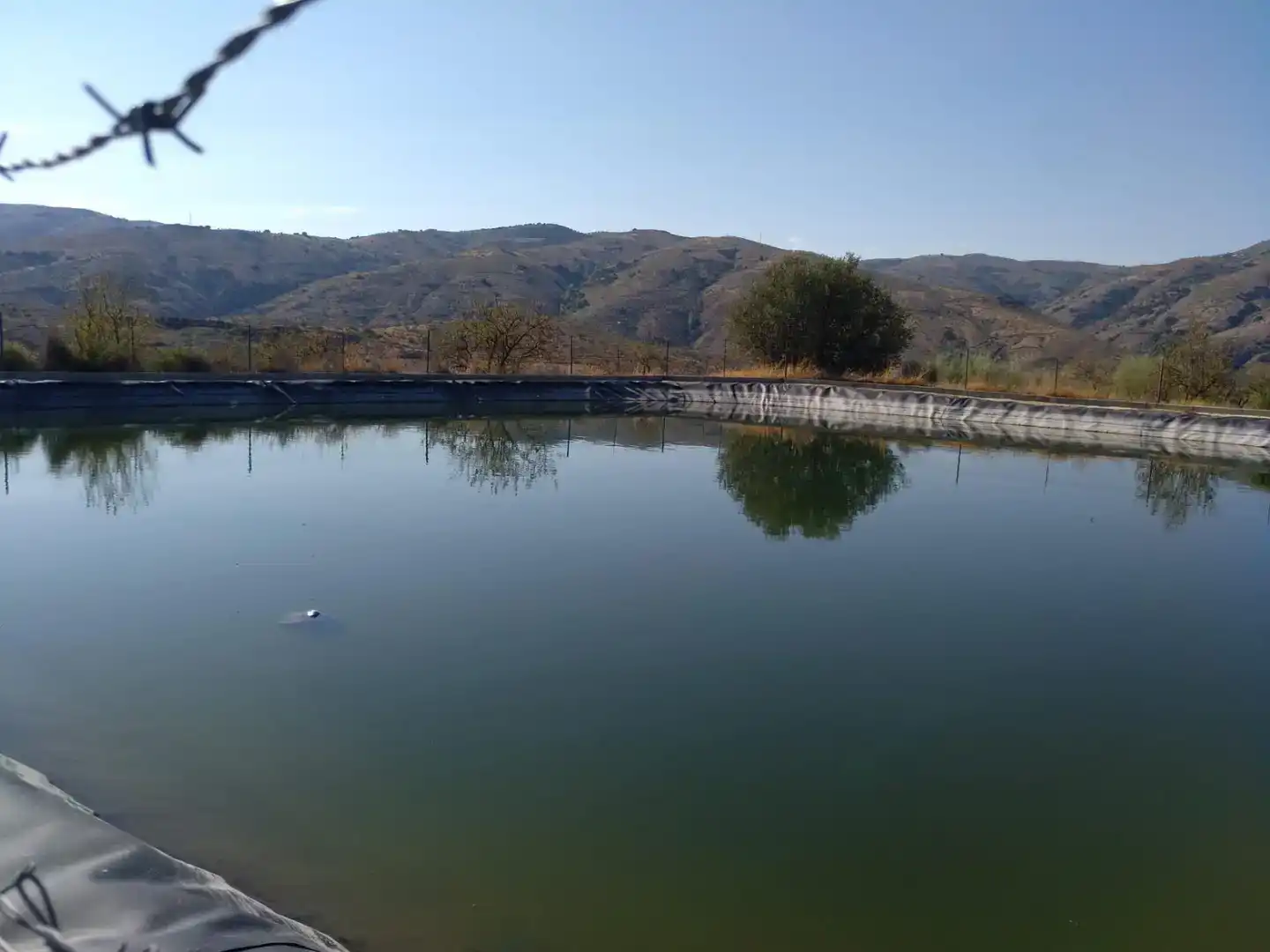 Schwimmbecken von Residential zum Verkauf in Lobras, Granada
