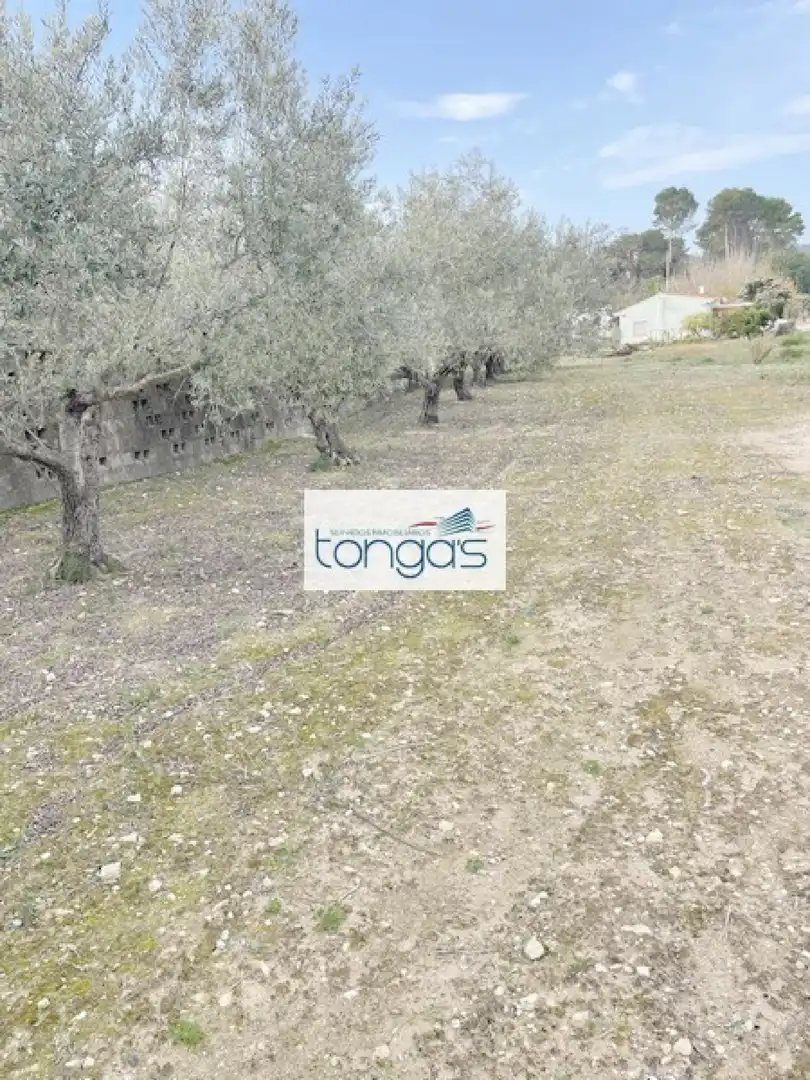 Terreny residencial en venda a Xàtiva, imagen 3