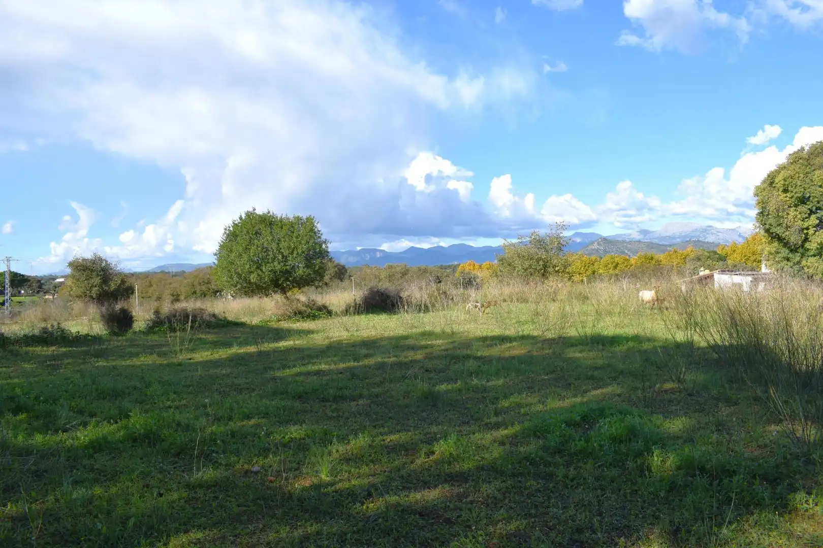 Residential land for sale in Llubí, imagen 24