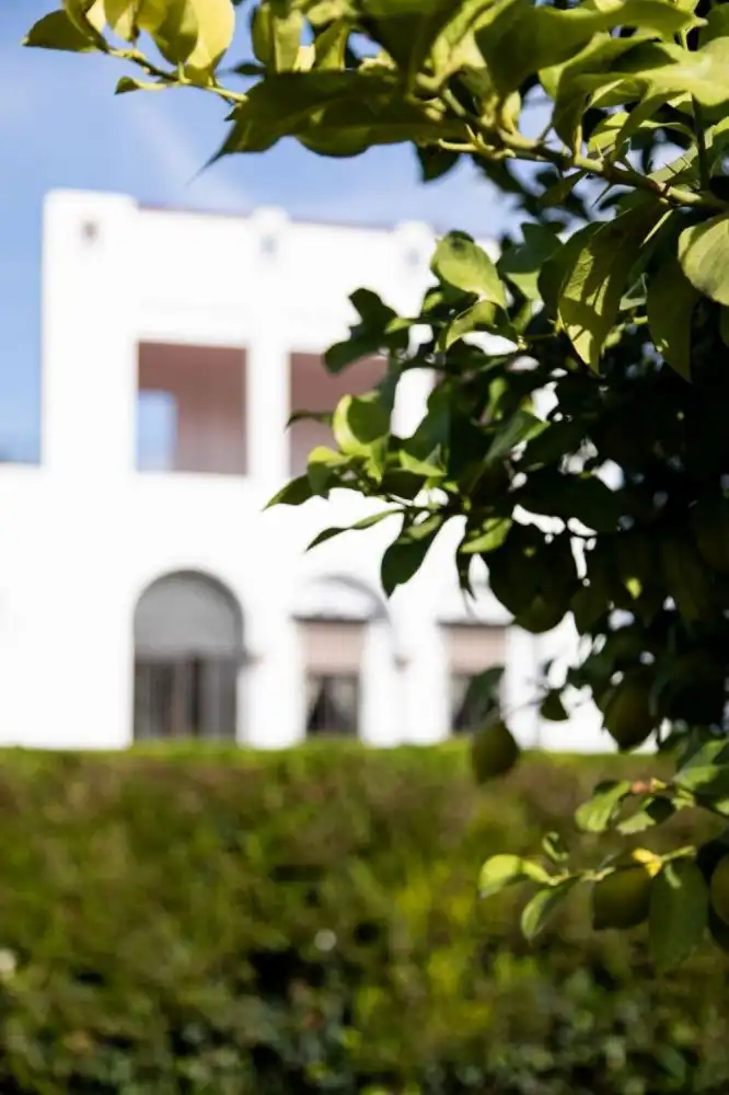 Exterior view of Houses for sale in Córdoba  with Air Conditioner, Private garden and Terrace