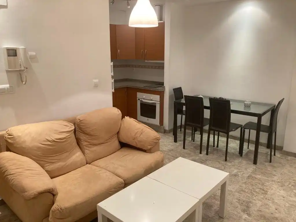 Appartamento con ascensore in affitto a Calle ALCALDE APARICIO Y MARIN 6, imagen 8