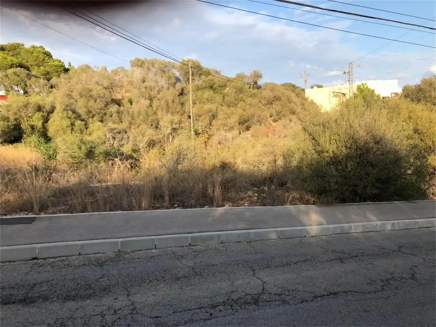 Land for sale in Manacor