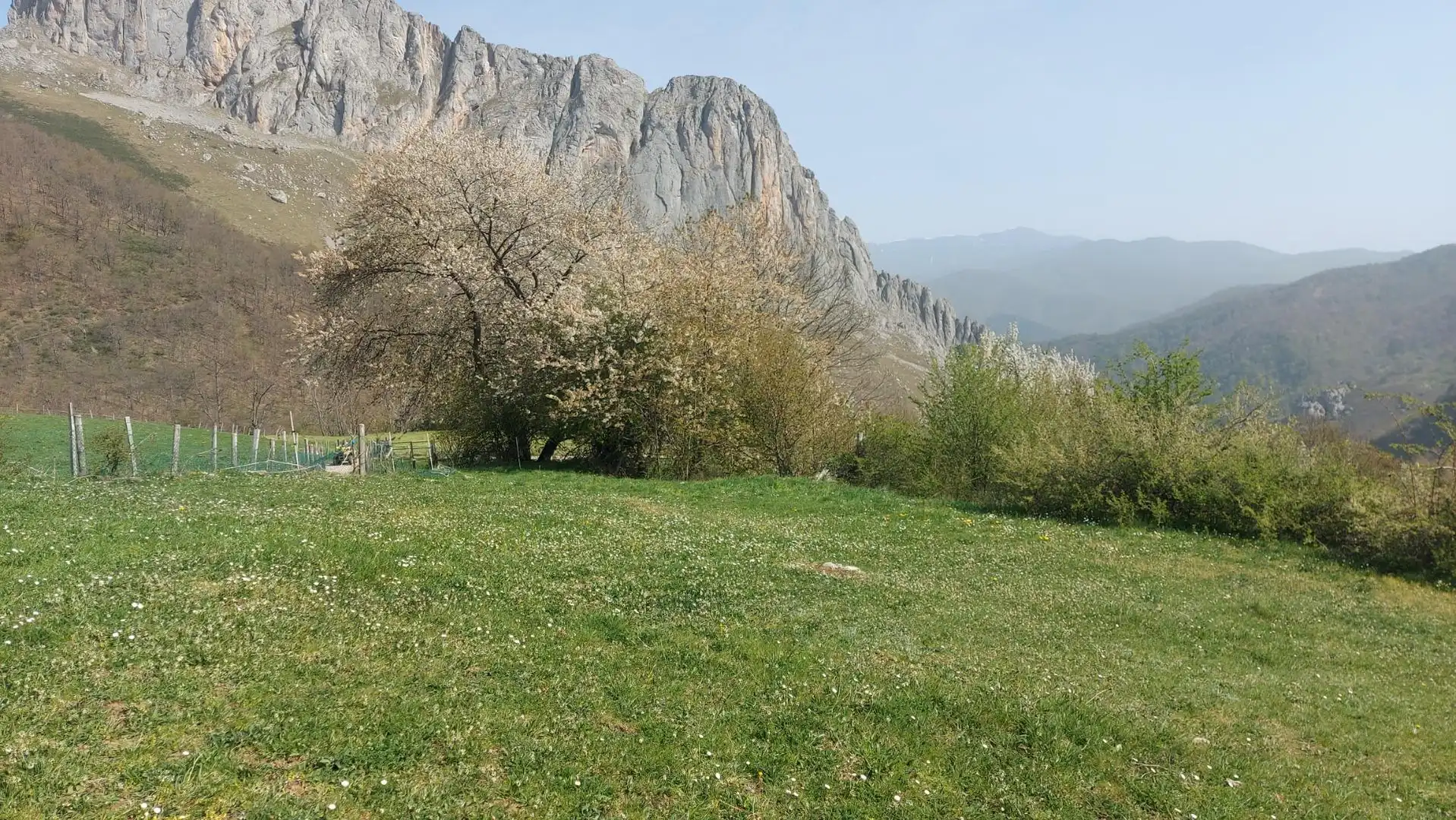 Terreno rustico in vendita a Pesaguero, imagen 4
