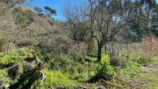 Terreno residencial en Venta en San Francisco