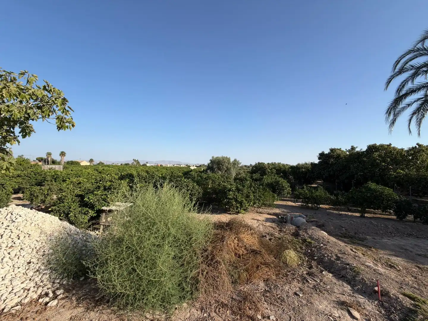 Casa en venta en Daya Vieja, imagen 15