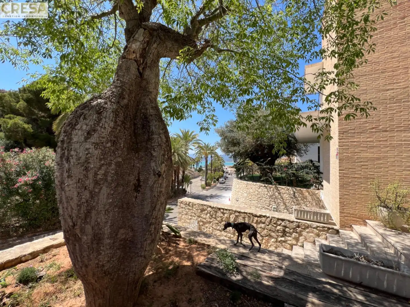 Exterior view of Houses for sale in Cullera  with Heating, Private garden and Terrace