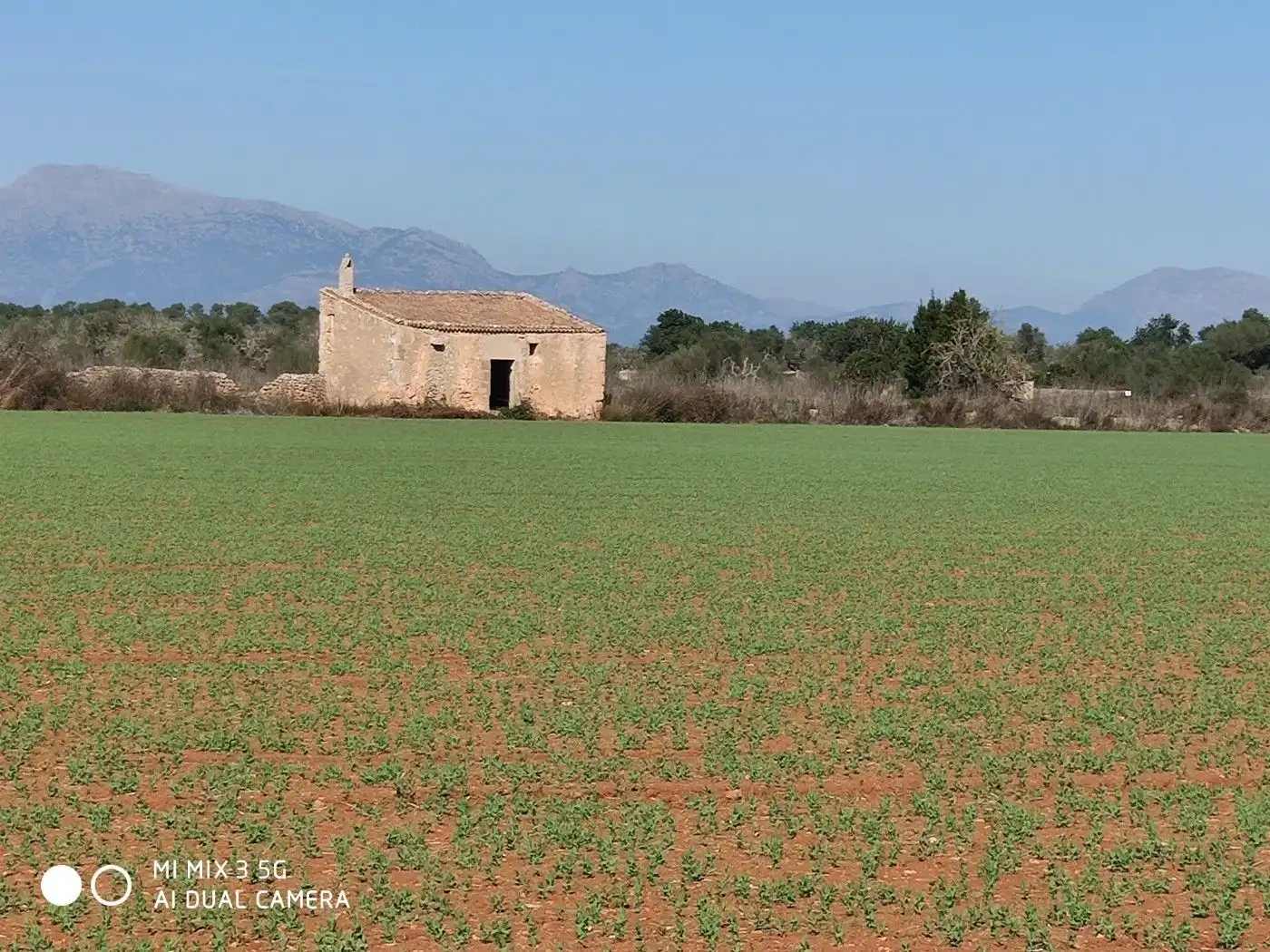 Terrain résidentiel à vendre à Algaida