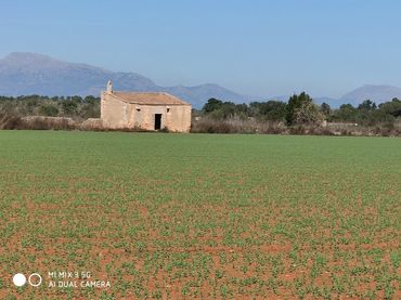 Terreno residencial en venta en Algaida