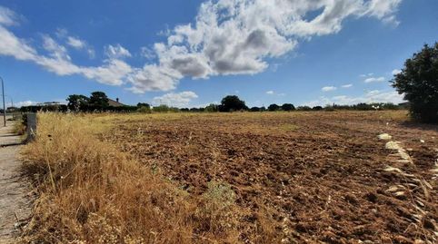 PARCELA DE 1.000M2 EN URBANIZACION CERCA DEL PUEBLO, ESCALONA, immagine 4