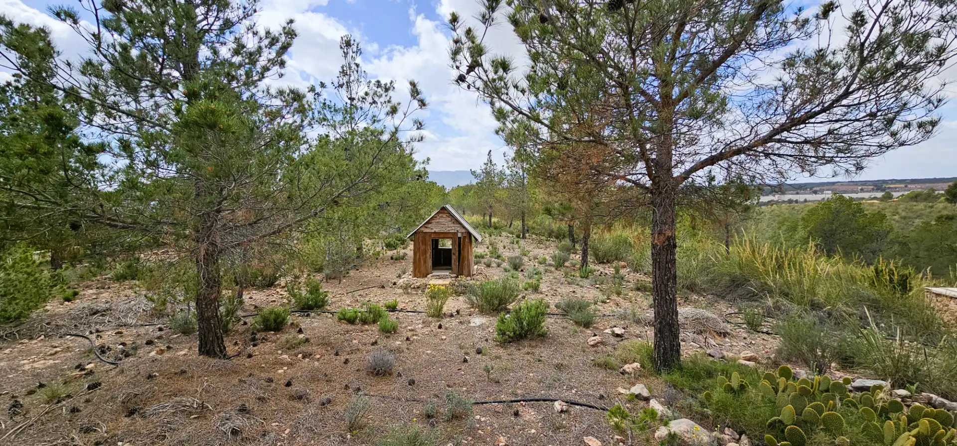 Casa o xalet en venda en Aledo amb Jardí privat, Terrassa i Traster
