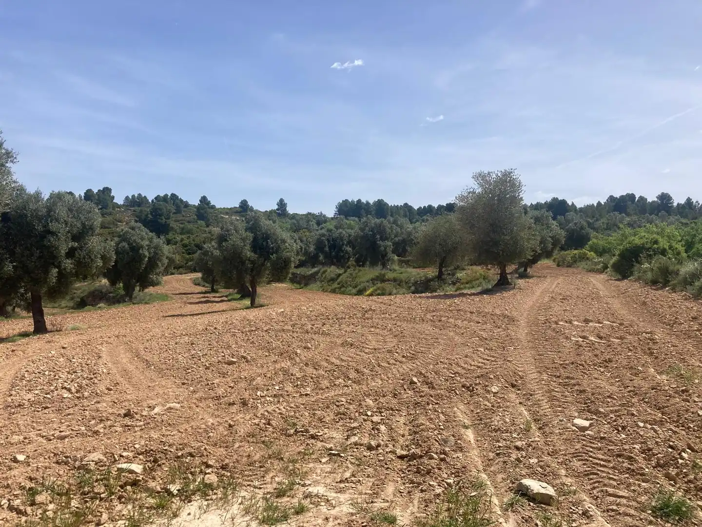 Terreni e lotti in vendita a Calaceite, imagen 6