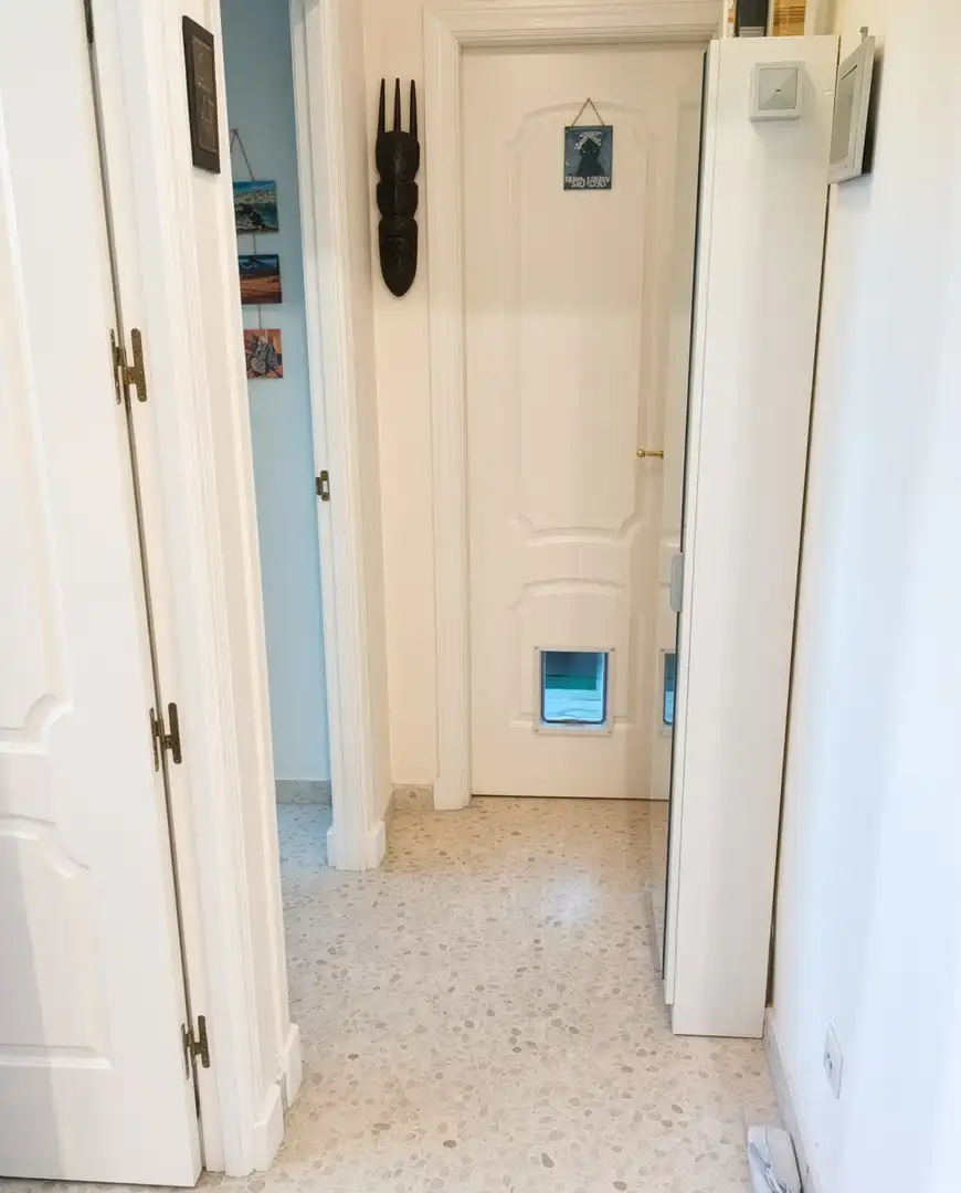Penthouse with pool for sale in Alcorrín, imagen 12