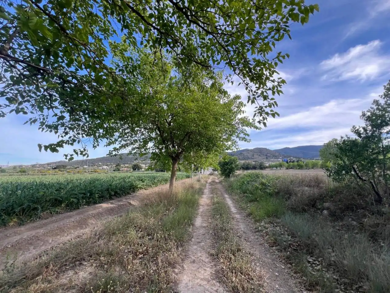 Terreny rústic en venda a Castalla, imagen 3