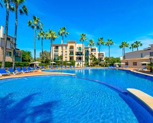 Piscina de Apartament en venda en Calvià amb Aire condicionat, Terrassa i Traster