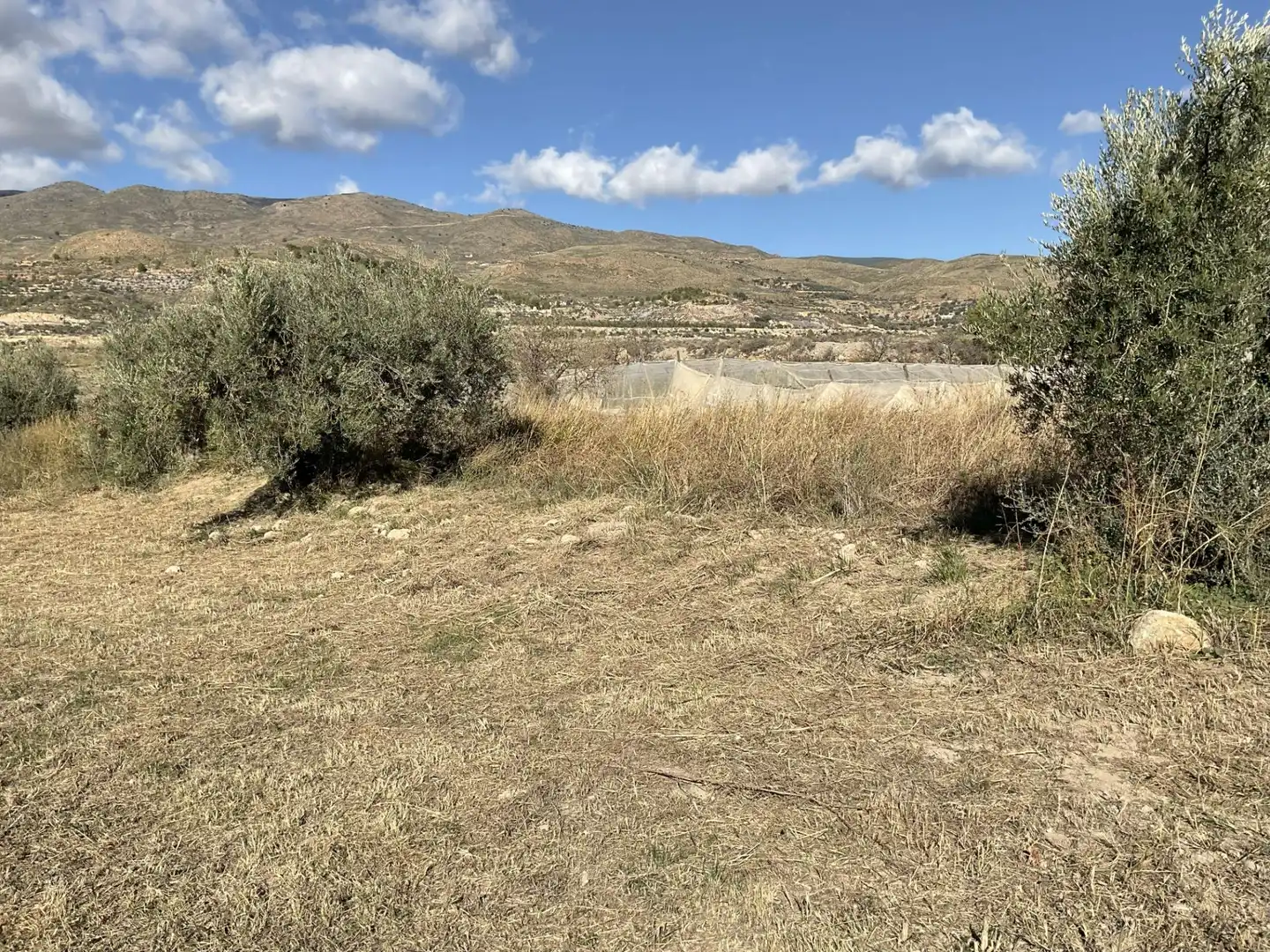 Land for sale in Padules