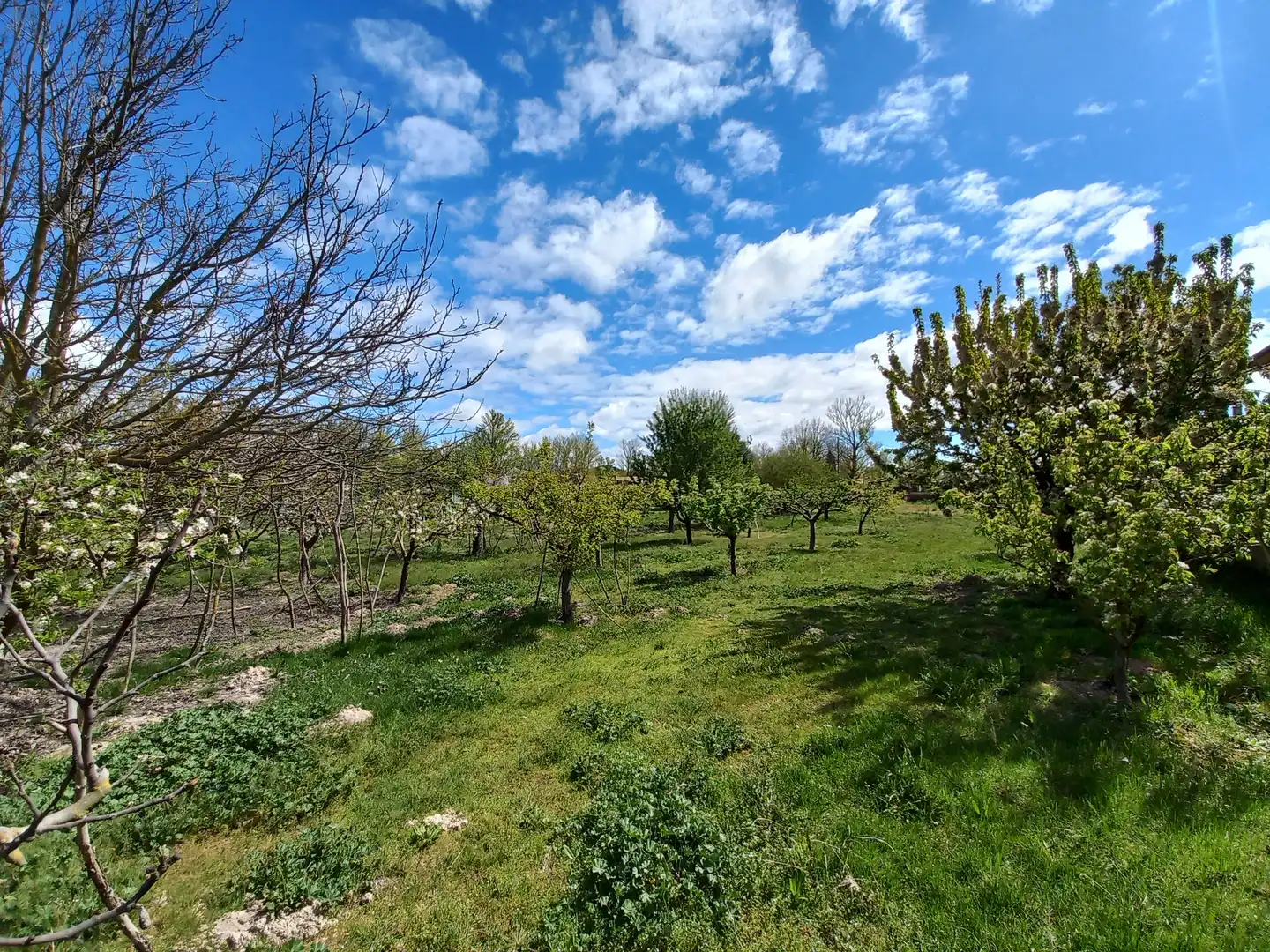Finca rústica en venta en Cayuela con Jardín privado