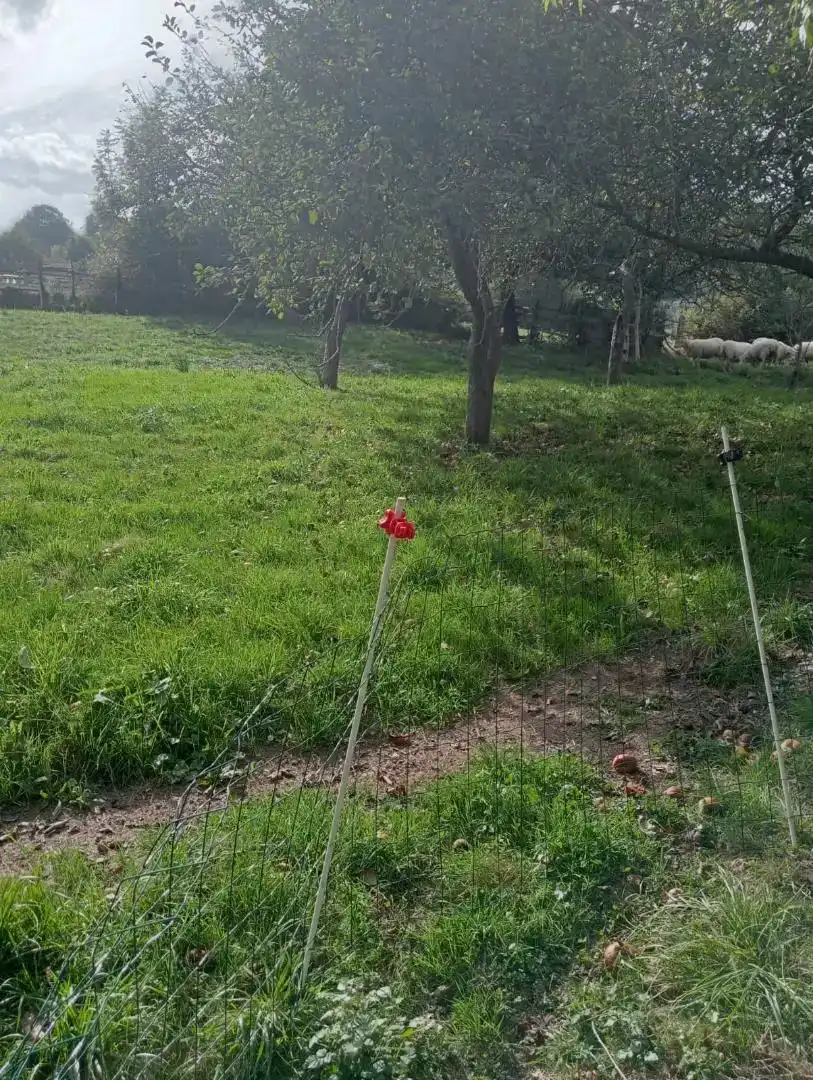 Casa o xalet en venda en Laviana amb Balcó