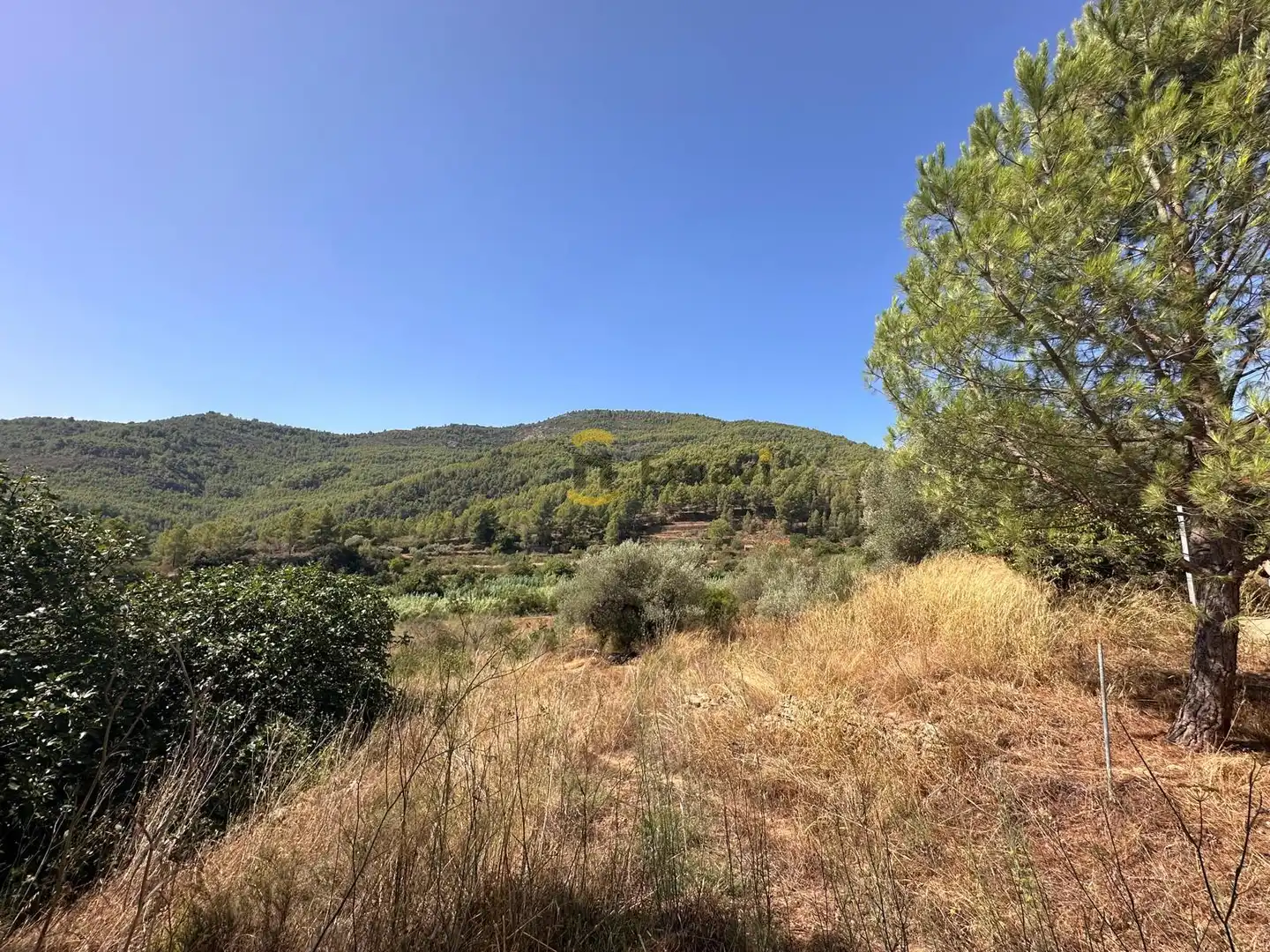 Finca rústica en venta en Figueroles, Castellón