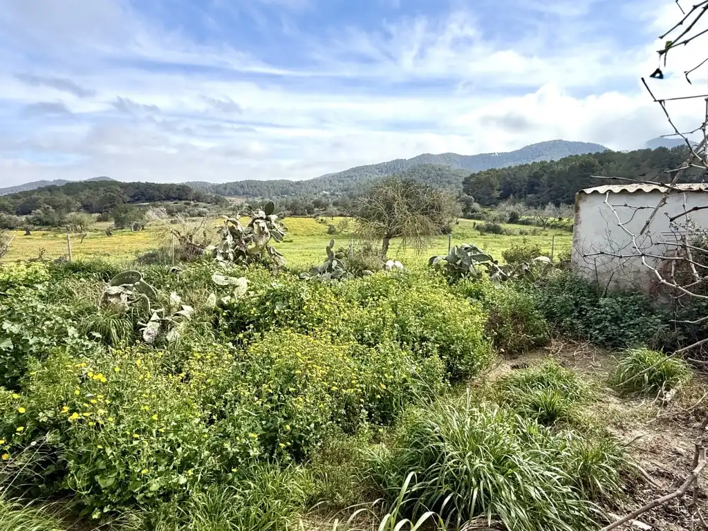 Casa o xalet en venda en Sant Josep de sa Talaia